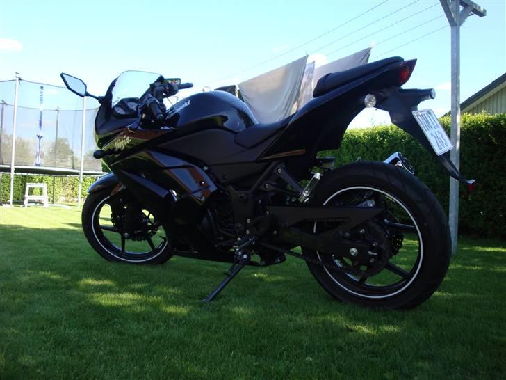 Kawasaki Ninja 250cc billede 1