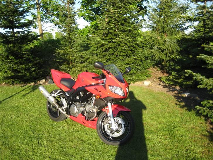 Suzuki sv 650s billede 2