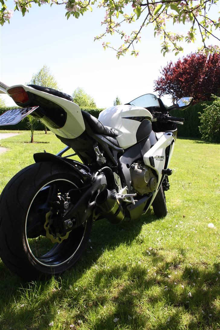 Honda CBR1000RR EVIL billede 14