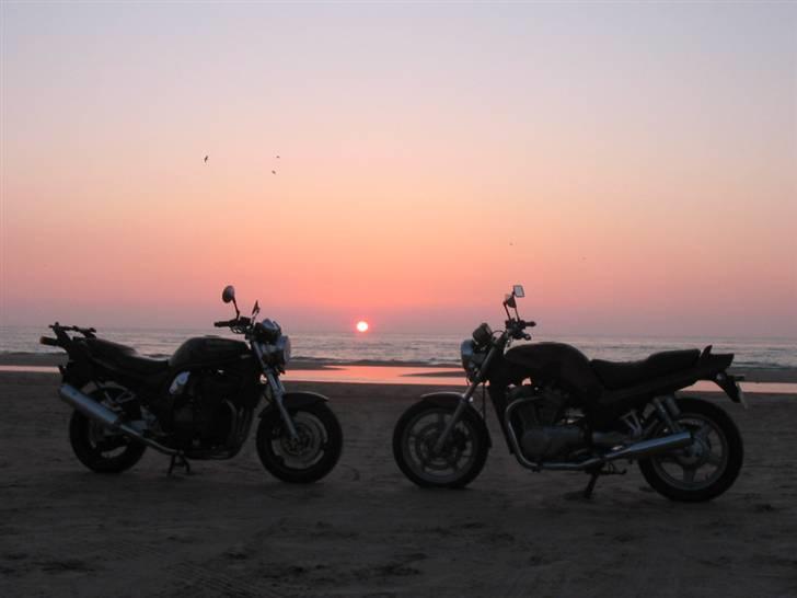 Suzuki GSF1200 Crash Bandicoot - leger fotomodel med en VX´er billede 4