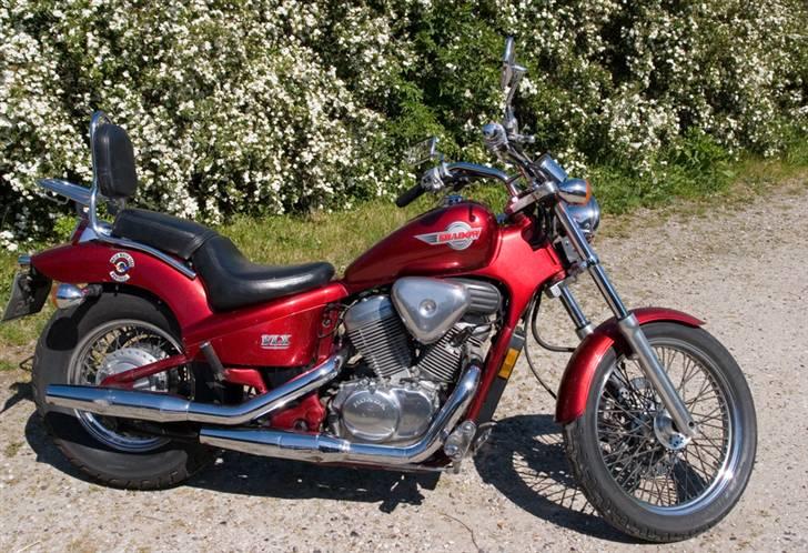 Honda VT 600 Shadow VLX billede 1