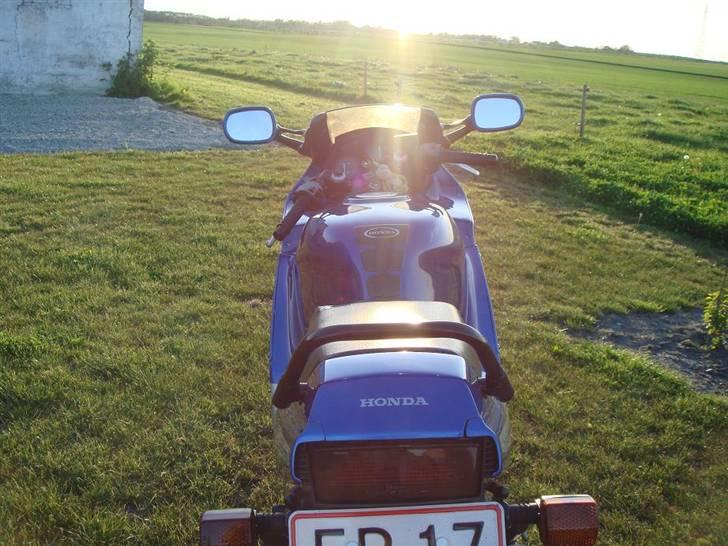 Honda CBR 600 billede 7