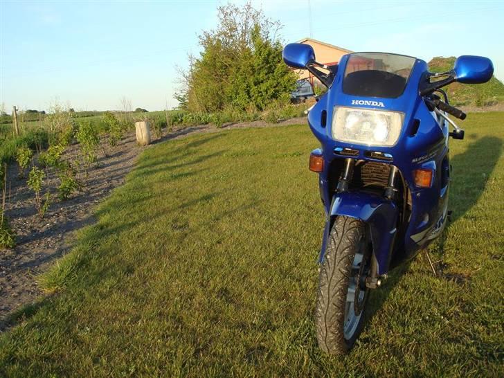 Honda CBR 600 billede 8