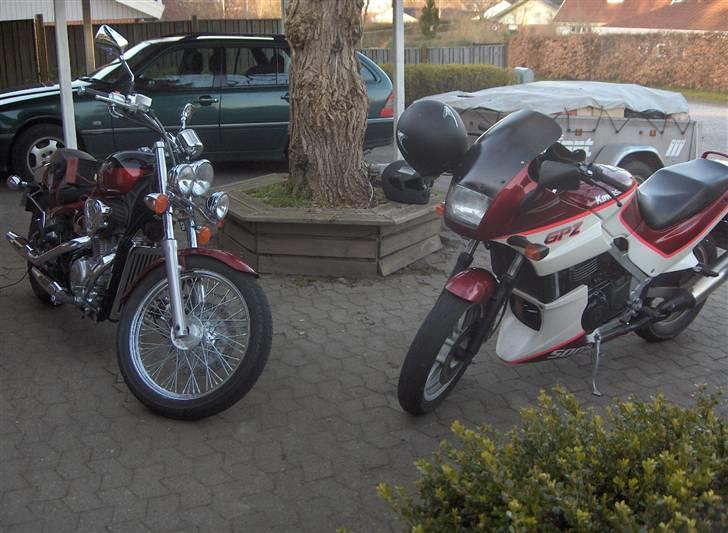 Kawasaki GPZ 500s PROJEKT billede 3