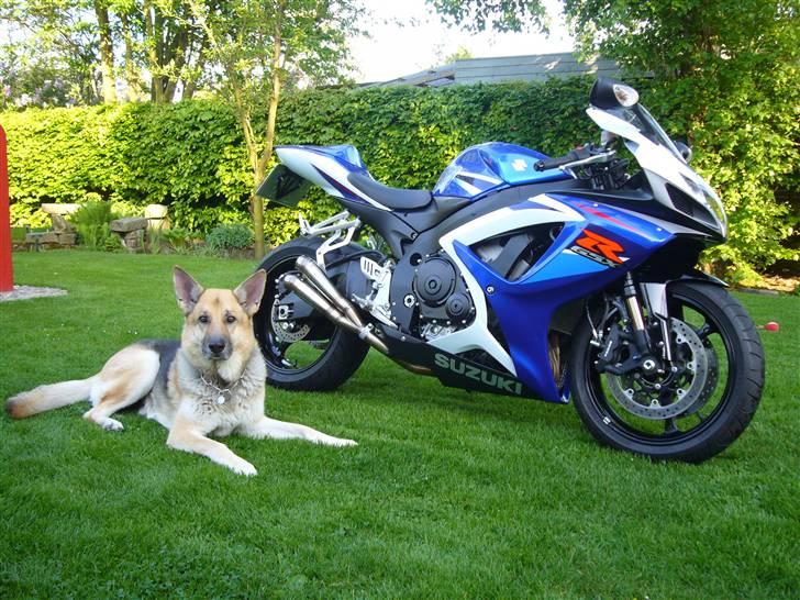 Suzuki Gsxr 750 K7  billede 4