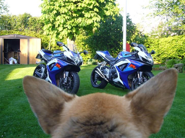 Suzuki Gsxr 750 K7  billede 5