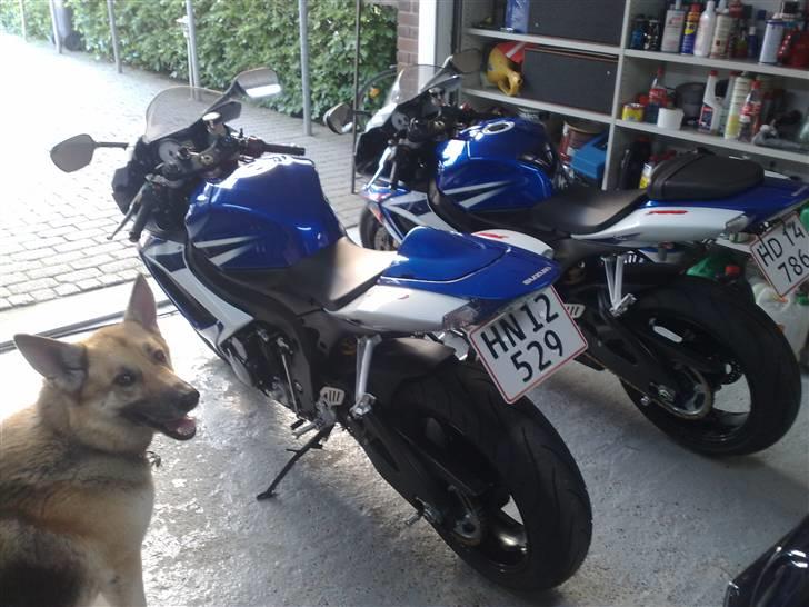 Suzuki Gsxr 750 K7  billede 11