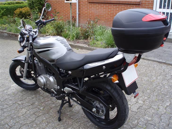 Suzuki GS 500 K7 billede 20