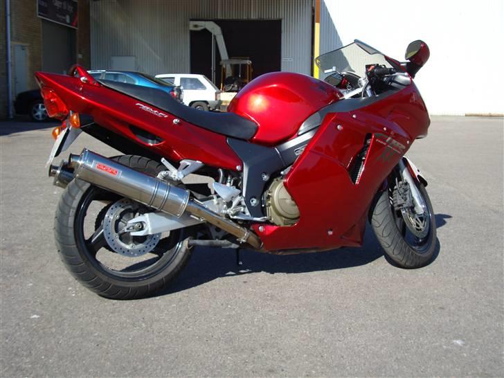 Honda CBR 1100 XX R.I.P billede 2