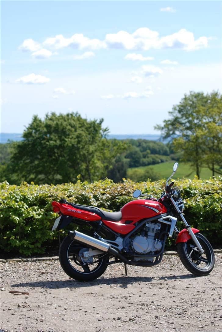 Kawasaki ER-5 billede 13