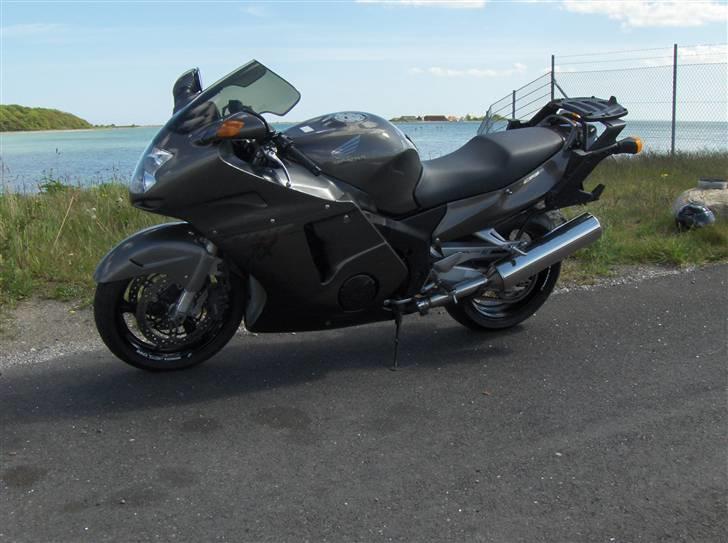 Honda Blackbird Cbr1100xx billede 14