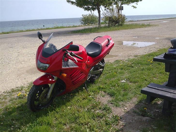 Suzuki RF 600 billede 1