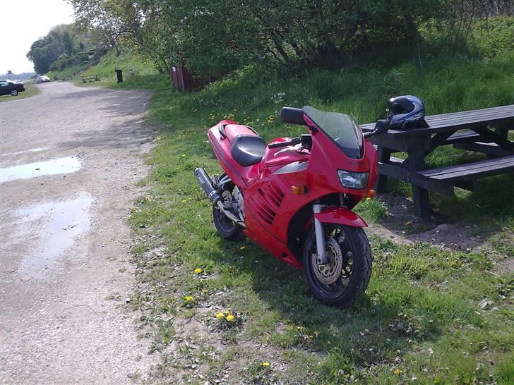 Suzuki RF 600 billede 2