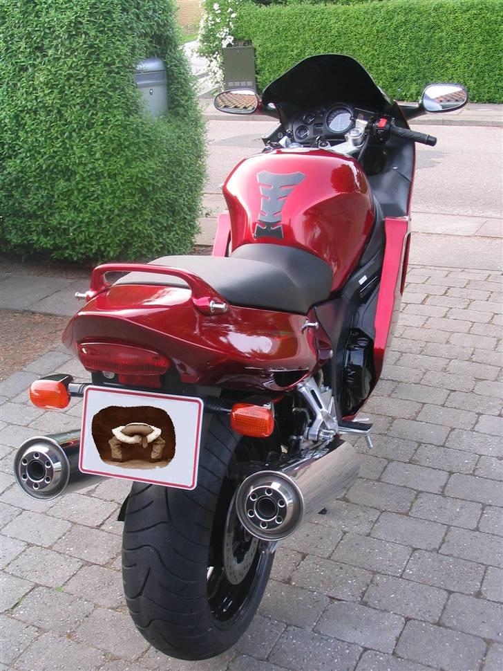 Honda CBR 1100 XX Blackbird  billede 3