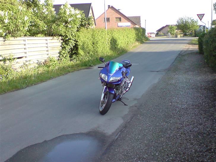 Suzuki Sv 1000s billede 9