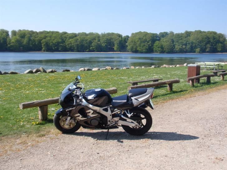 Honda fireblade billede 12