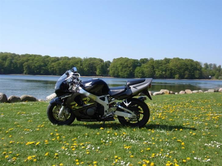 Honda fireblade billede 14