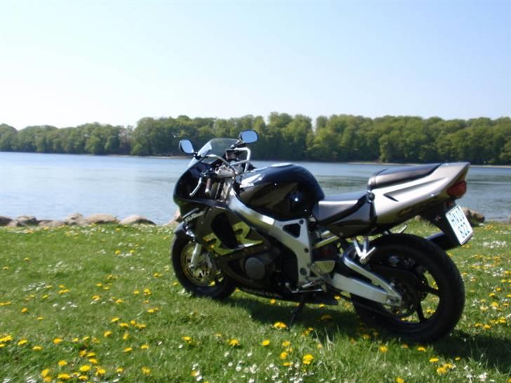 Honda fireblade billede 16