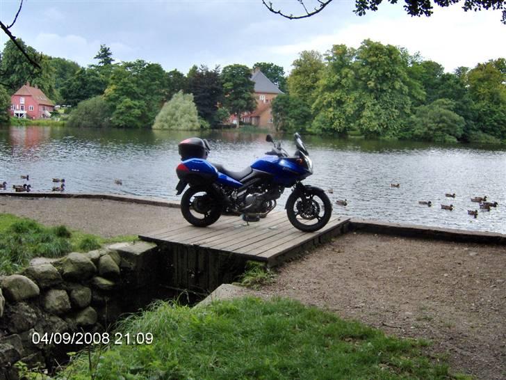 Suzuki V strom DL 650 - Sådan billede 5