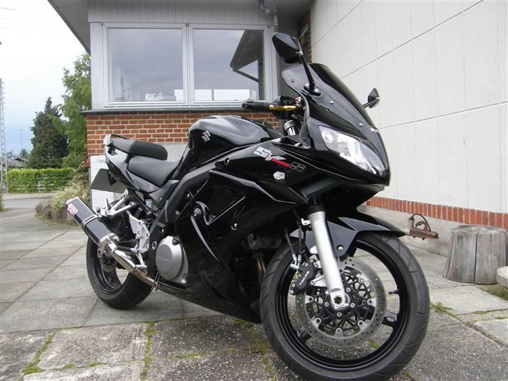 Suzuki SV1000 (Solgt) billede 10