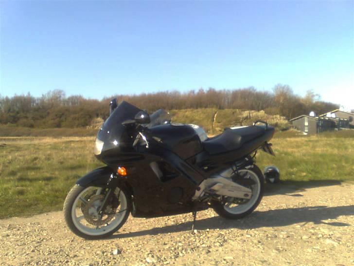 Honda 600 cbr  - Forår v. fynshovede  billede 2