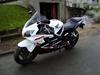 Honda cbr 600 f4 sport 