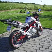 Kawasaki ER 6 N