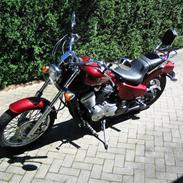 Honda Shadow ** SOLGT **
