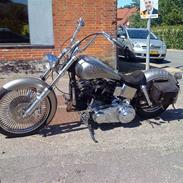 Harley Davidson custom Panhead