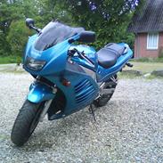Suzuki RF600R