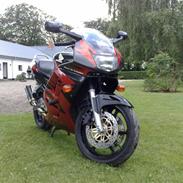 Honda Cbr 600