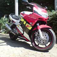 Honda CBR 600 F3 (Solgt)
