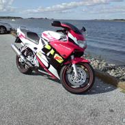 Honda CBR 600 F3 (Solgt)