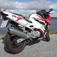 Honda CBR 600 F3 (Solgt)