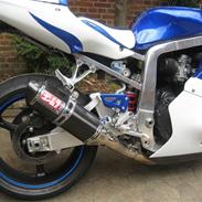 Suzuki GSXR 1100