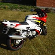 Honda CBR 600 F3 PC31