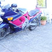 Kawasaki zz-r 600