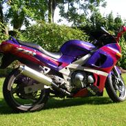 Kawasaki ZZR 600