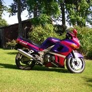 Kawasaki ZZR 600