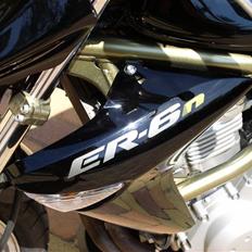Kawasaki ER-6n - *ABS* (Solgt)