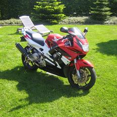 Honda CBR 600 F3 (Stjålet)