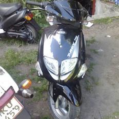 PGO t rex 110 ccm