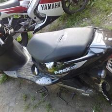 PGO t rex 110 ccm