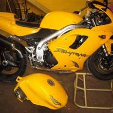 Triumph Daytona 595