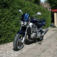Suzuki SV 1000 N