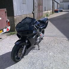 Honda CBR600 - SOLGT -