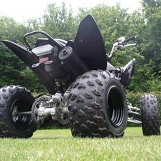 Yamaha yfm 250r Special Edition 