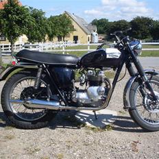 Triumph Daytona T100R