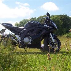 Suzuki Sv1000S Til salg