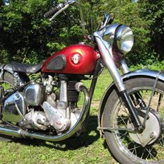 BSA B31